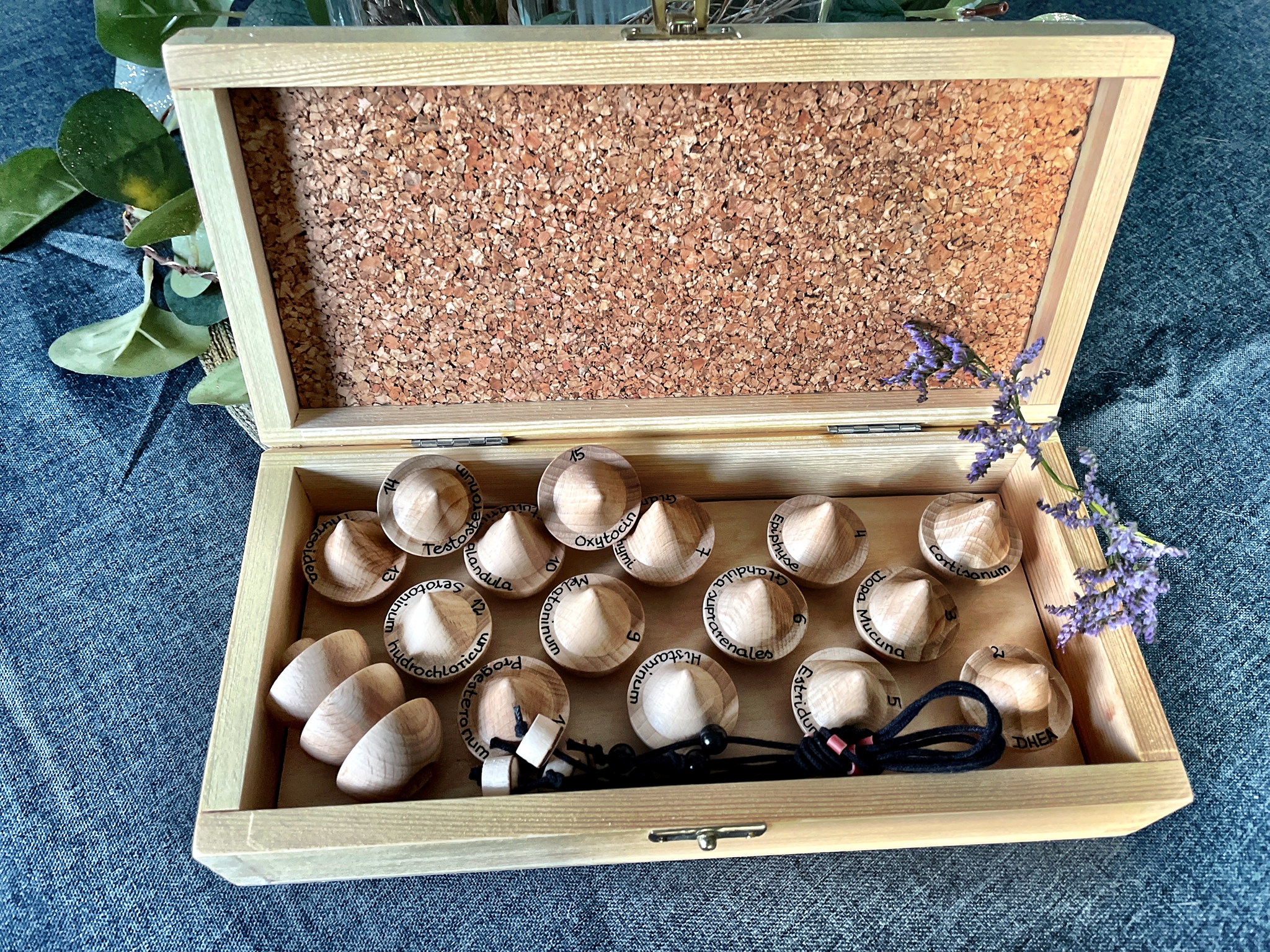 Ayurveda medicinal herbs according to Brigitta Schmidt (pendulum set)